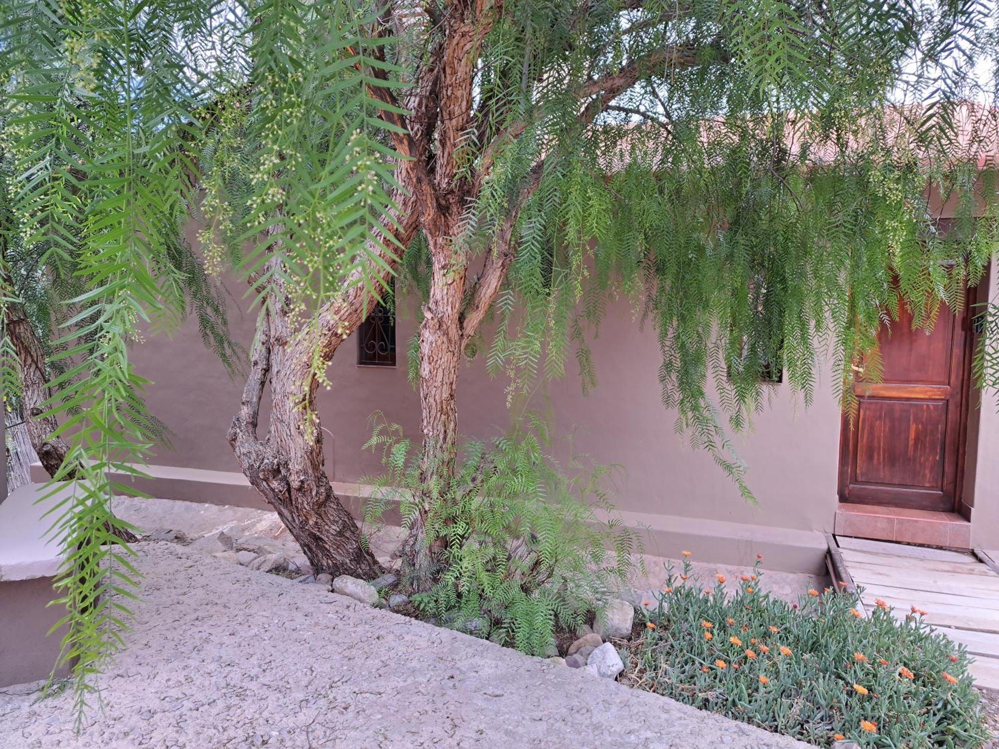 Casa En Tilcara Con Hermosa Vista Al Pucara מראה חיצוני תמונה
